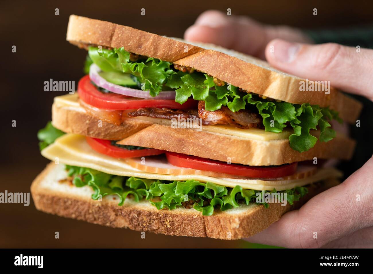 Club sandwich with bacon, cheese, ham, lettuce and purple onion in male hands Stock Photo