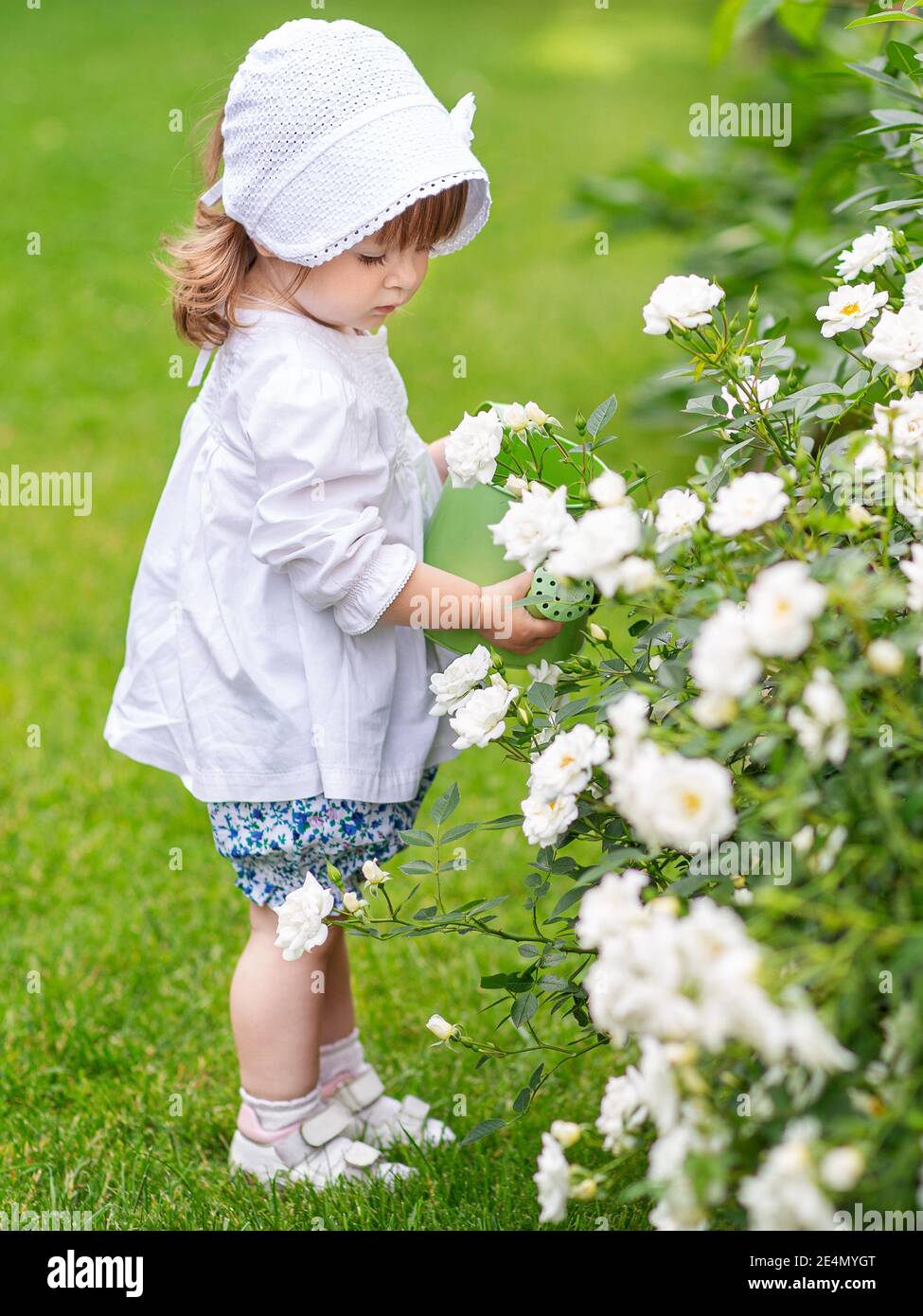 on a summer day, a little girl takes care of flowers in the garden, watering roses in a flower bed Stock Photo
