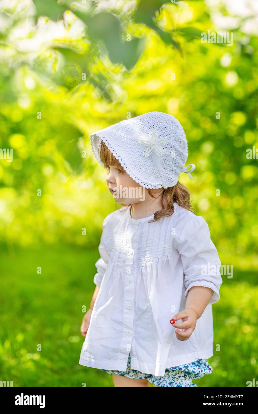 a girl in a white blouse with a basket collects red currant berries from a branch with her mother Stock Photo