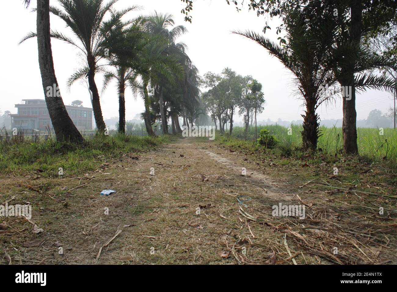 Bangladesh sport hi-res stock photography and images - Alamy