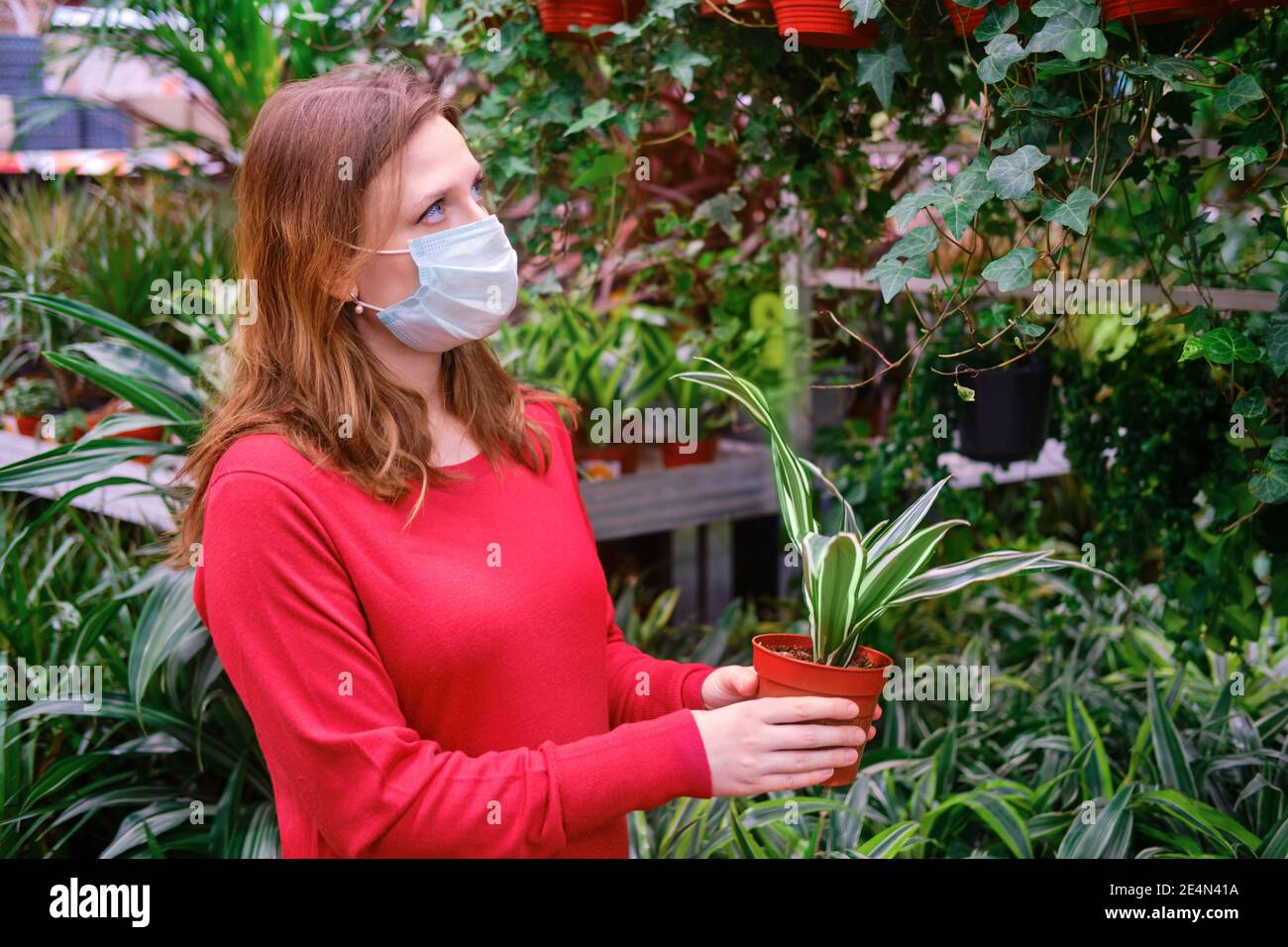 Woman florist in face mask buys dracaena plant for home garden Stock Photo