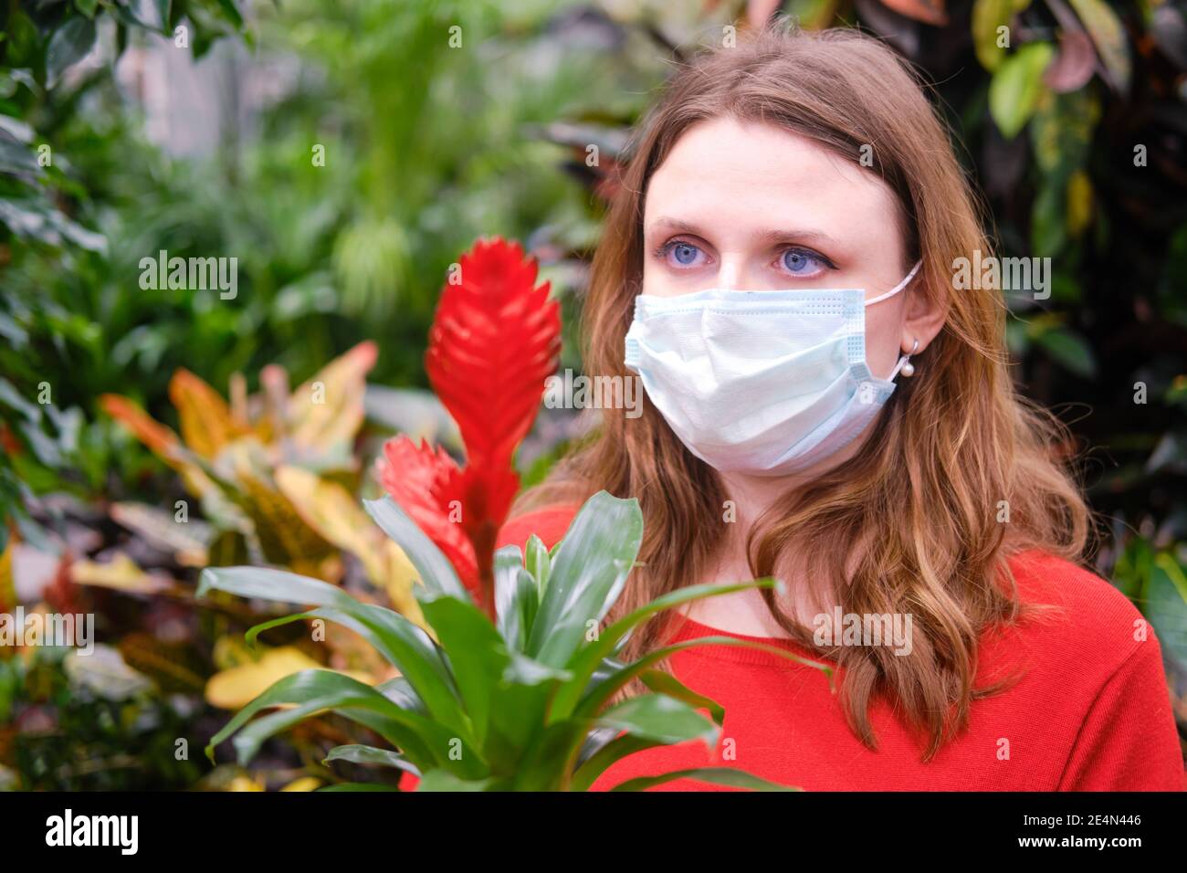 Pretty woman florist in mask sell houseplants in greenhouse of bromeliad flower shop. Growing flowers and plants at home during corona virus isolation Stock Photo