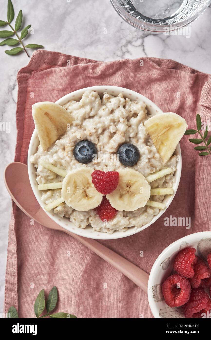 cat oatmeal