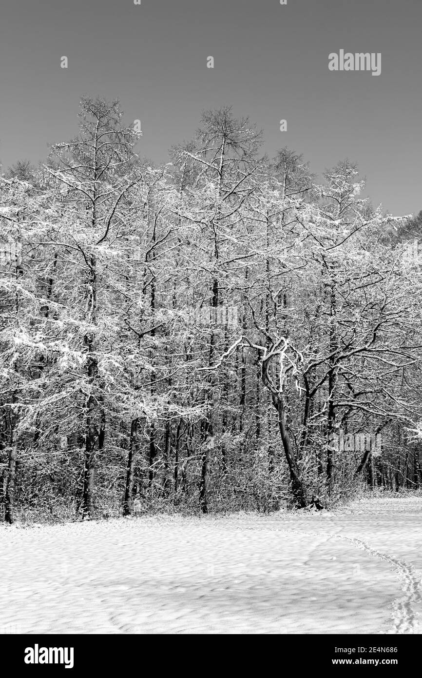 The sun and serene atmosphere Black and White Stock Photos & Images - Alamy