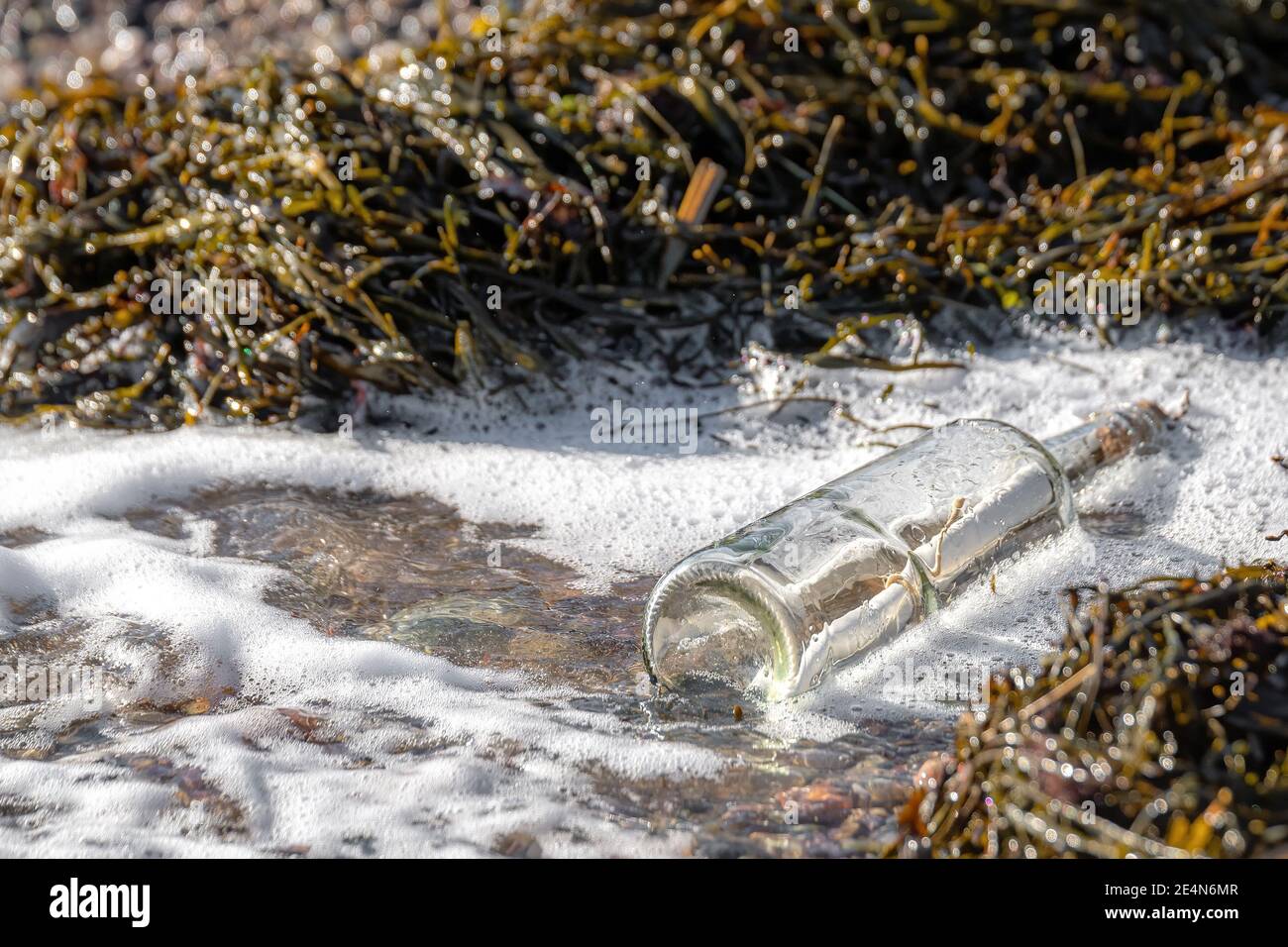 A message in a bottle in foamy water at the edge of the ocean. Seaweed around the bottle. Sunny day, bottle lying on its side. Stock Photo