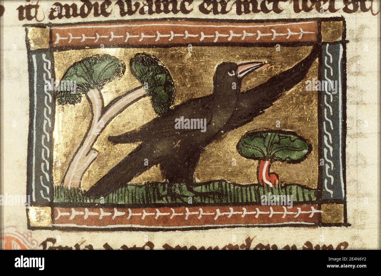 Merula (blackbird) - Der naturen bloeme - Jacob van Maerlant - KB KA 16 ...