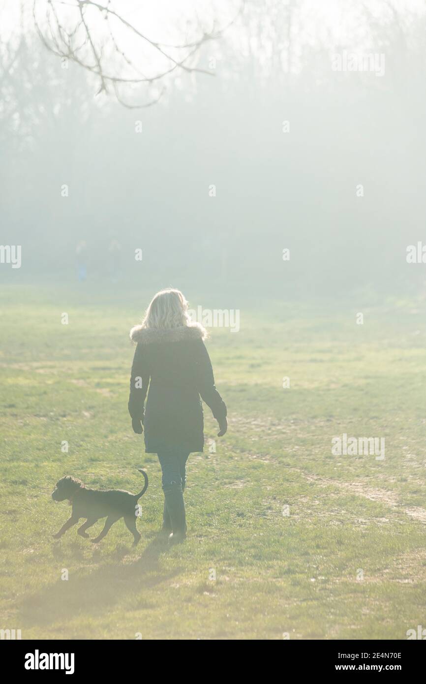 A womn walks her dog on a sunny day in a Lonon park durking lockdown Stock Photo