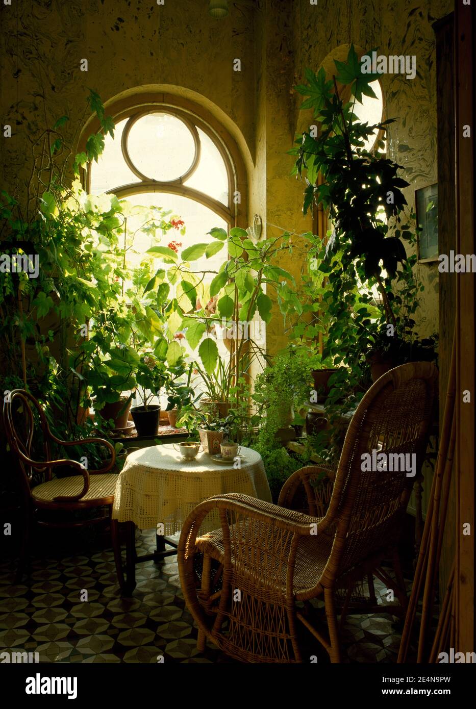 Detail of corner of garden room with green plants and cane furniture