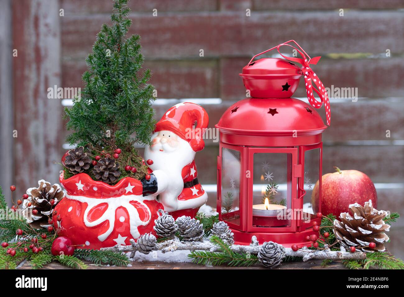 christmas garden decoration with vintage lantern and picea glauca Stock Photo