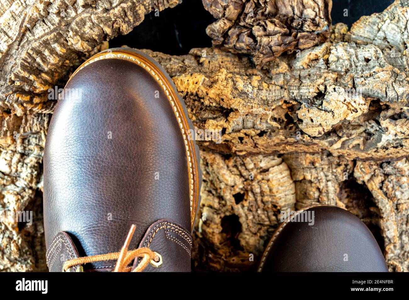 selective focus of a detail of the toe of a brown leather hiking boot on tree bark to protect from the cold winter weather Stock Photo