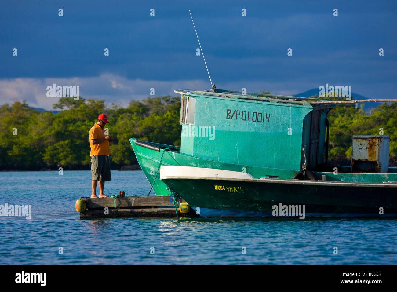 Ecuador, Isla Isabela, Islas Galapagos Stock Photo