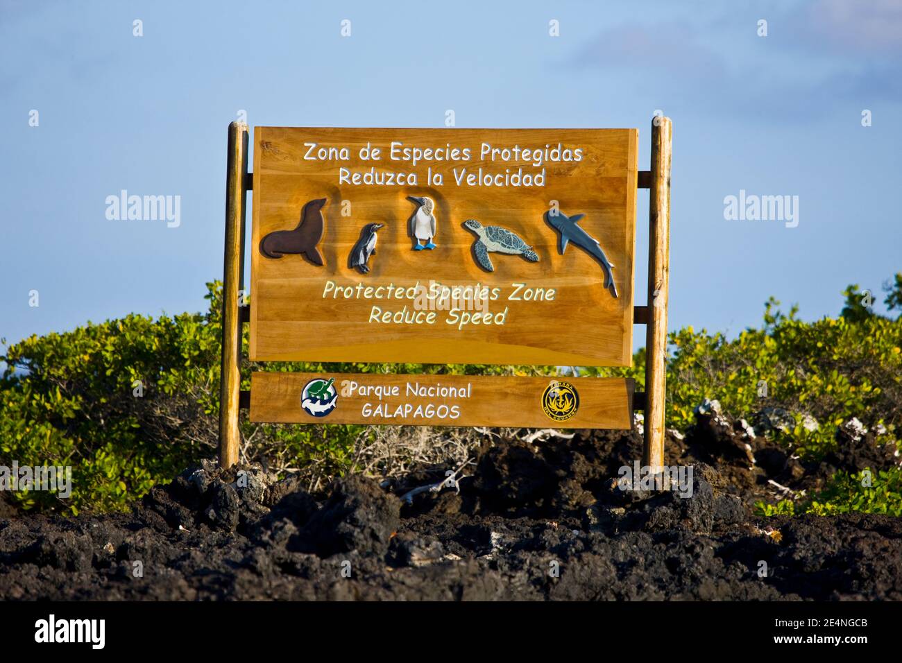 Ecuador, Isla Isabela, Islas Galapagos Stock Photo