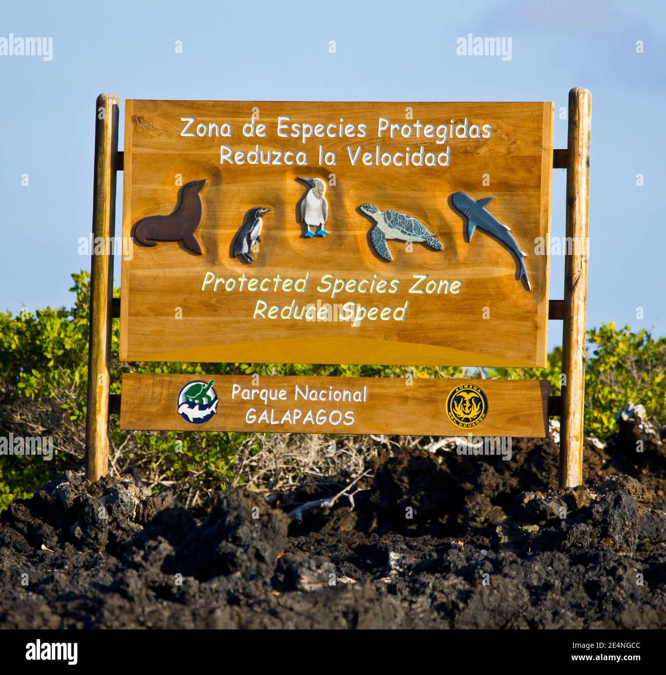 Ecuador, Isla Isabela, Islas Galapagos Stock Photo