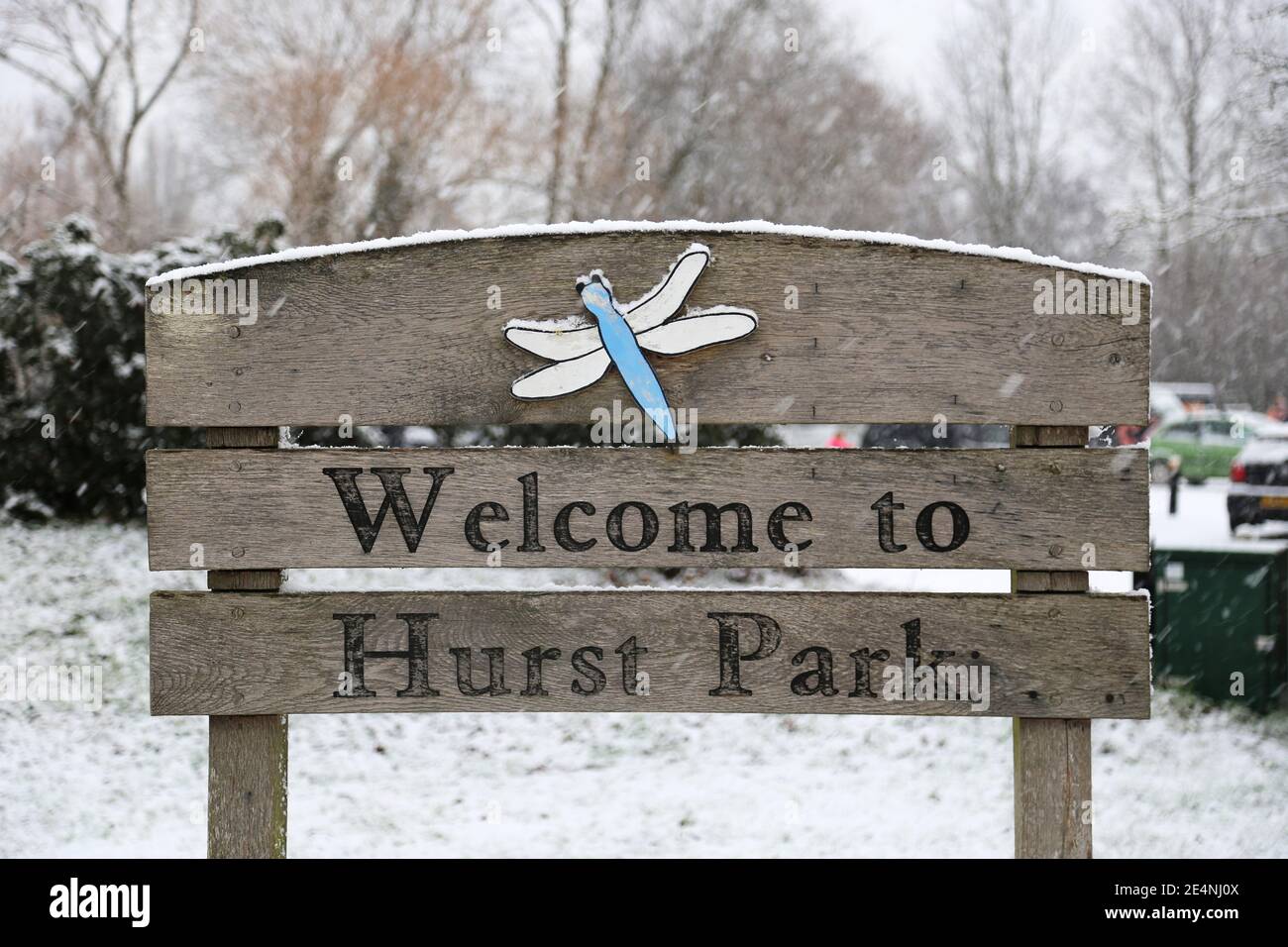 Sadlers Ride, Hurst Park, East Molesey, Surrey, England, Great Britain, United Kingdom, Europe Stock Photo