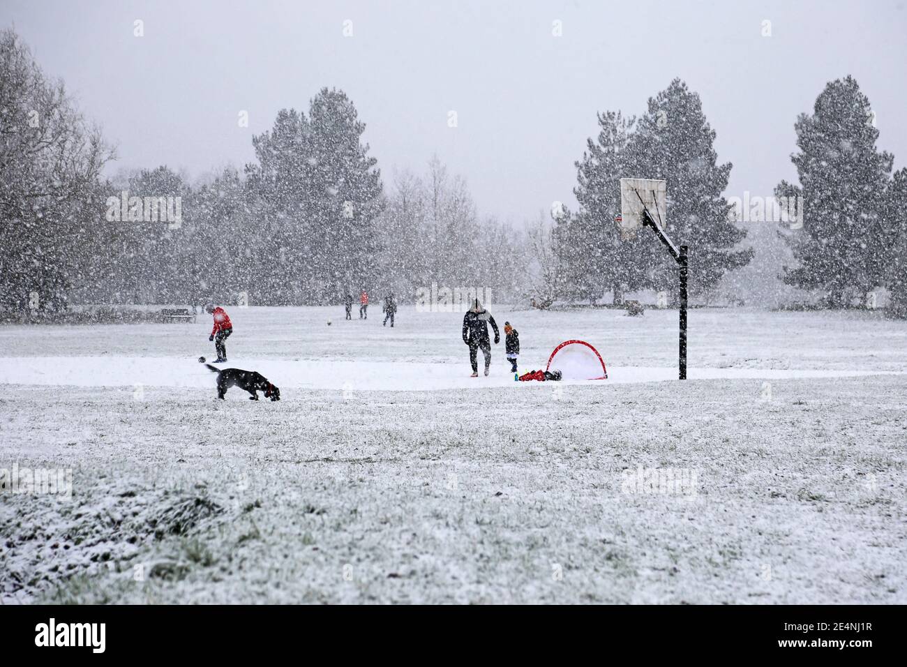 People enjoying heavy snow, Sadlers Ride, Hurst Park, East Molesey, Surrey, England, Great Britain, United Kingdom, Europe Stock Photo