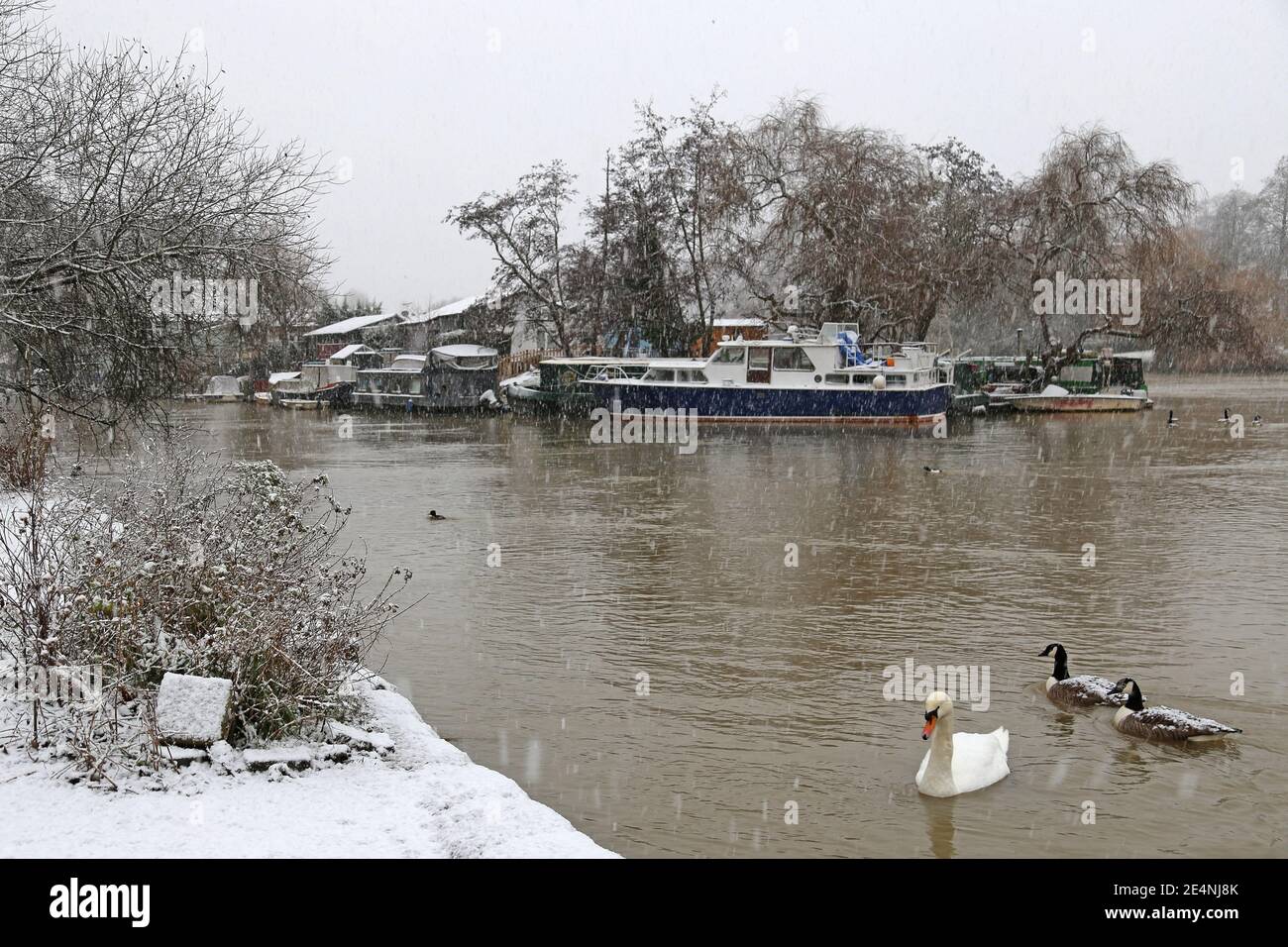 Garrick's Ait during heavy snow, seen from Sadlers Ride, Hurst Park, East Molesey, Surrey, England, Great Britain, United Kingdom, UK, Europe Stock Photo