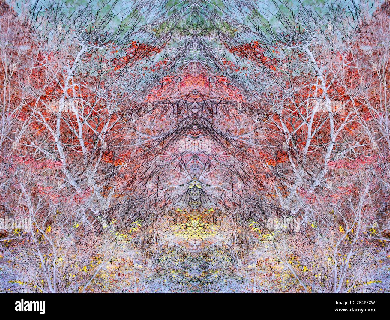 Nature Color Inverted Autumn colours in Nikko Botanical Gardens - kaleidoscopic inverted ...
