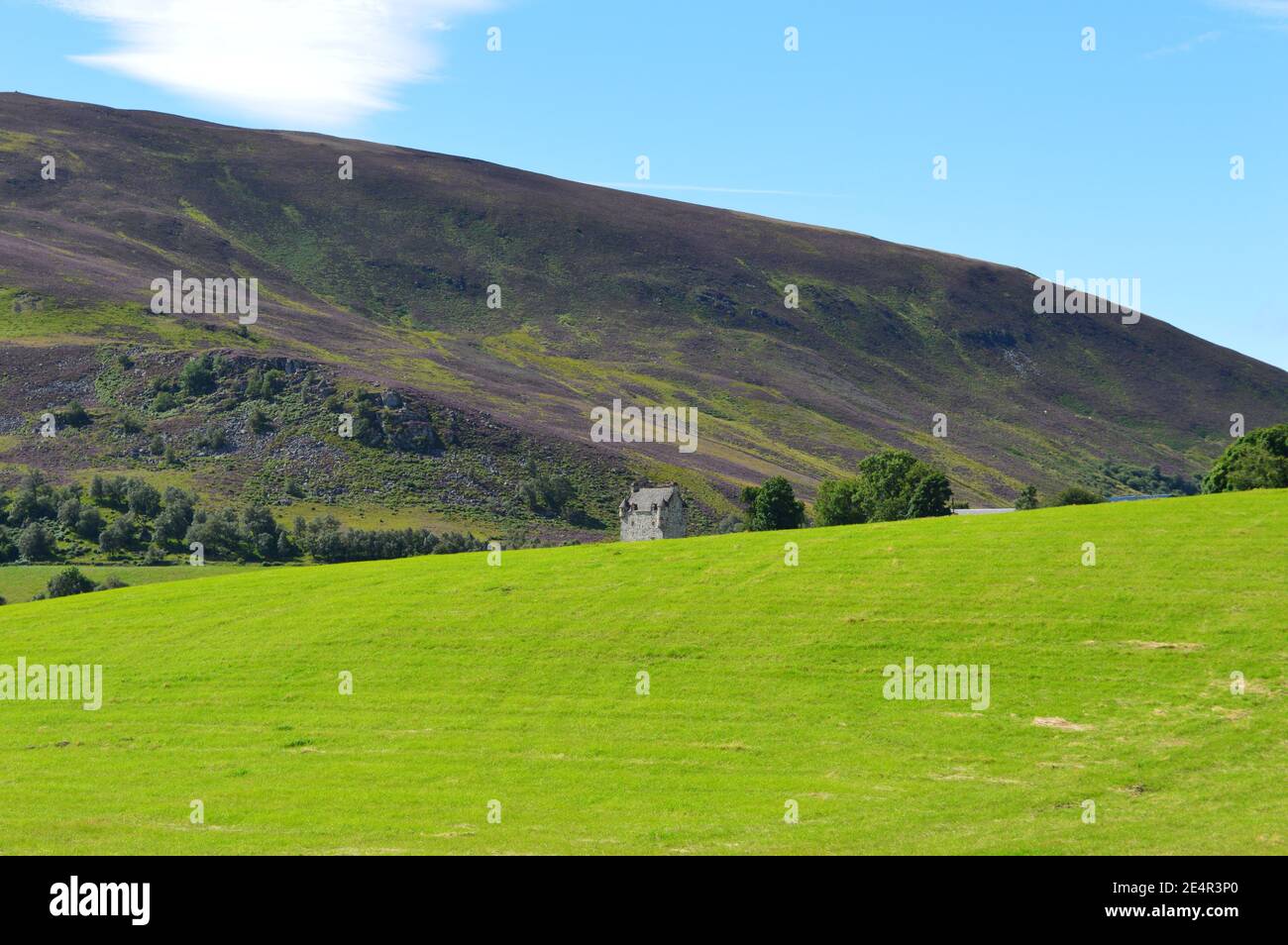Scottish hillside hires stock photography and images Alamy