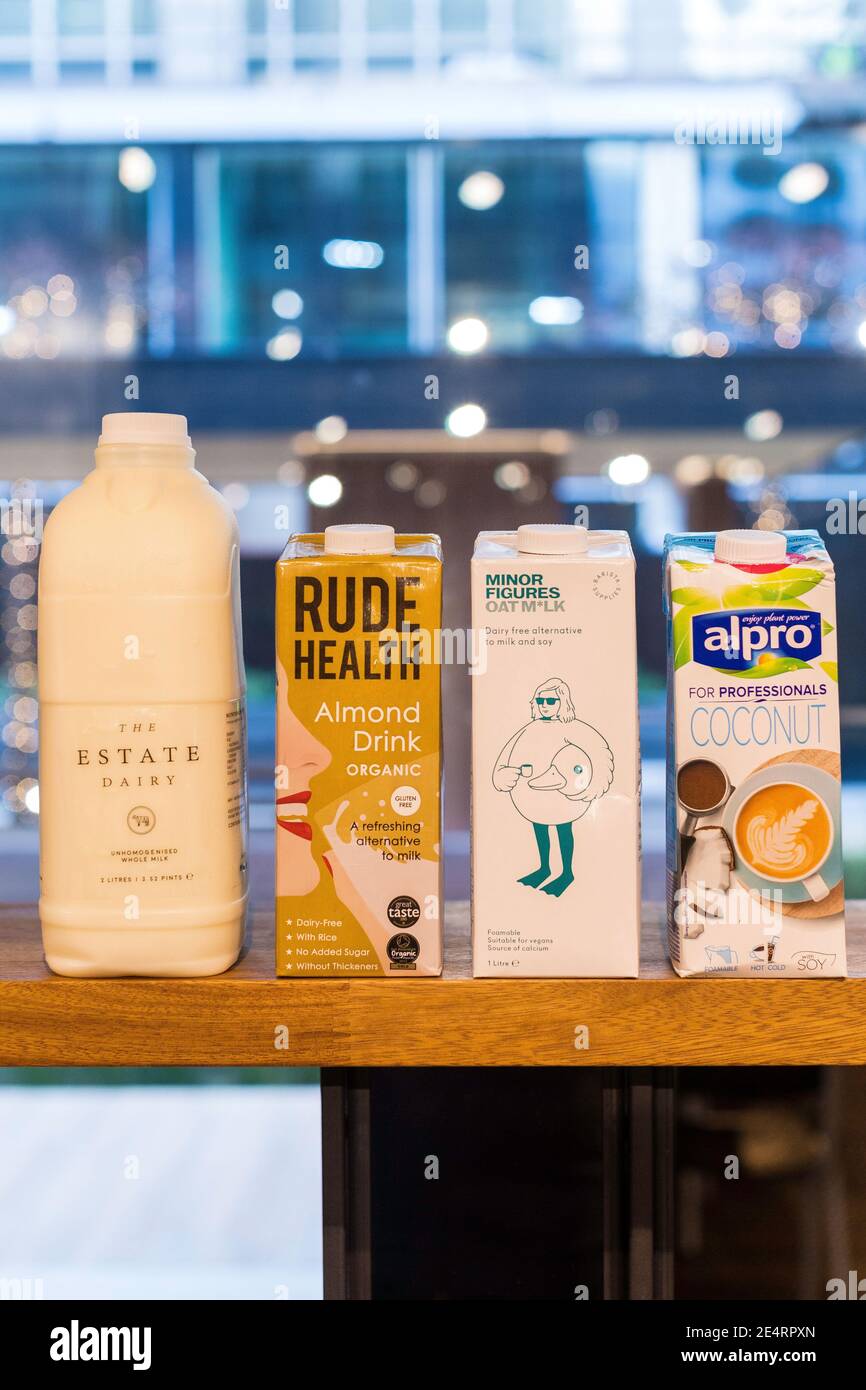 Different milks on a table dairy milk, coconut ,oat and almond milk. .dairy-free milk Stock Photo