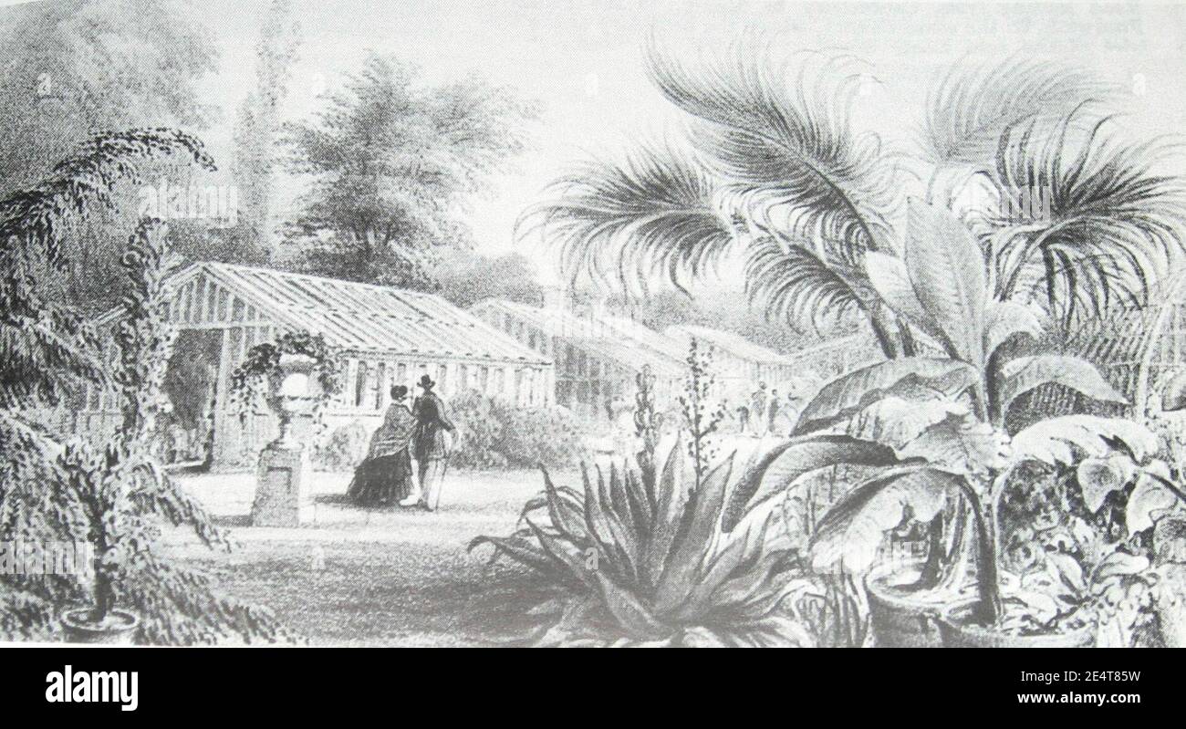 Masters exotic nursery 001 Stock Photo Alamy