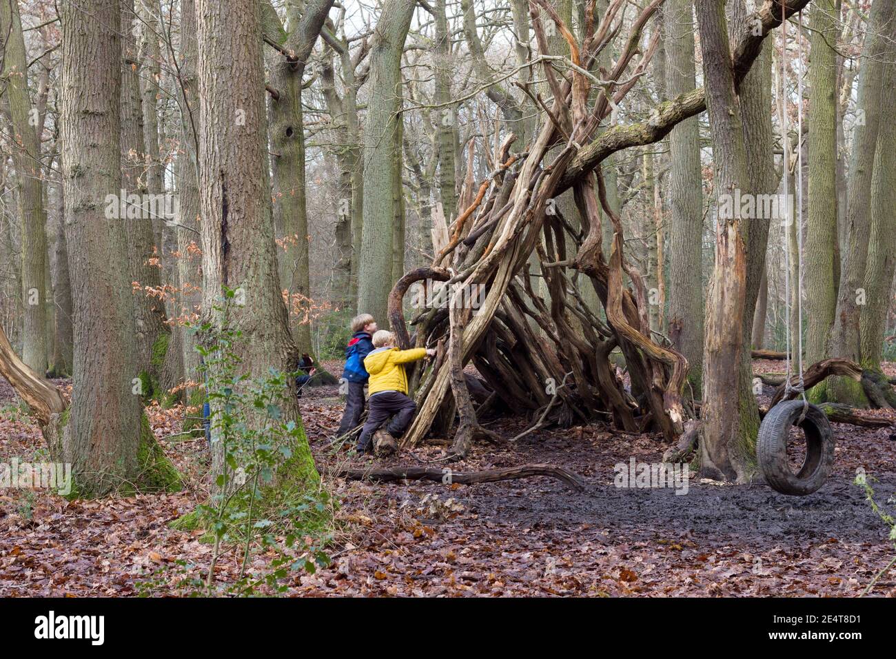 two boys playing by the tree hut in woodland with a tyre swing, Kent Stock  Photo - Alamy