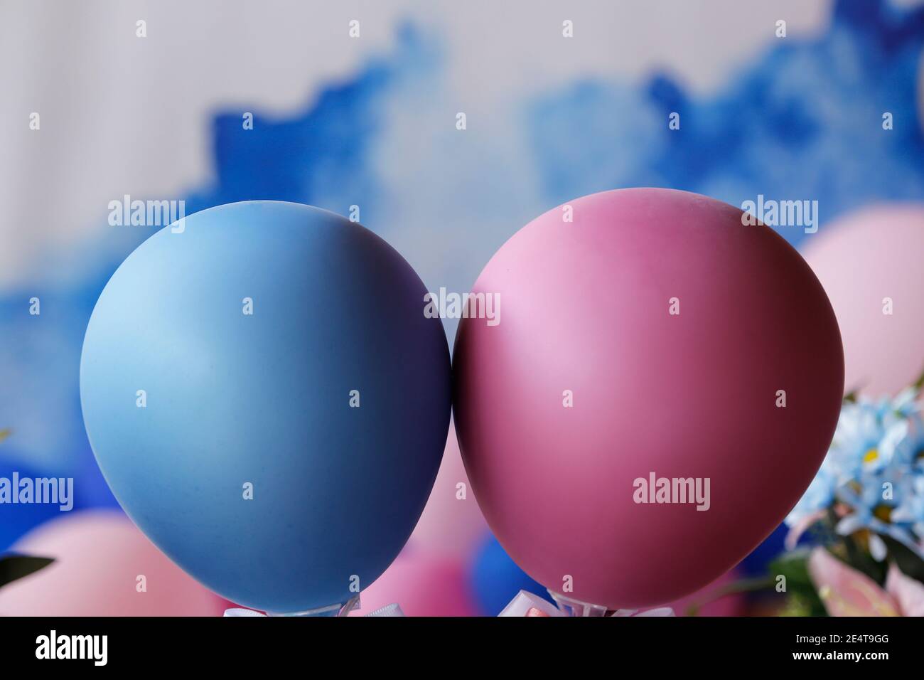 Blue and pink balls at revelation tea party - baby gender reveal party concept Stock Photo