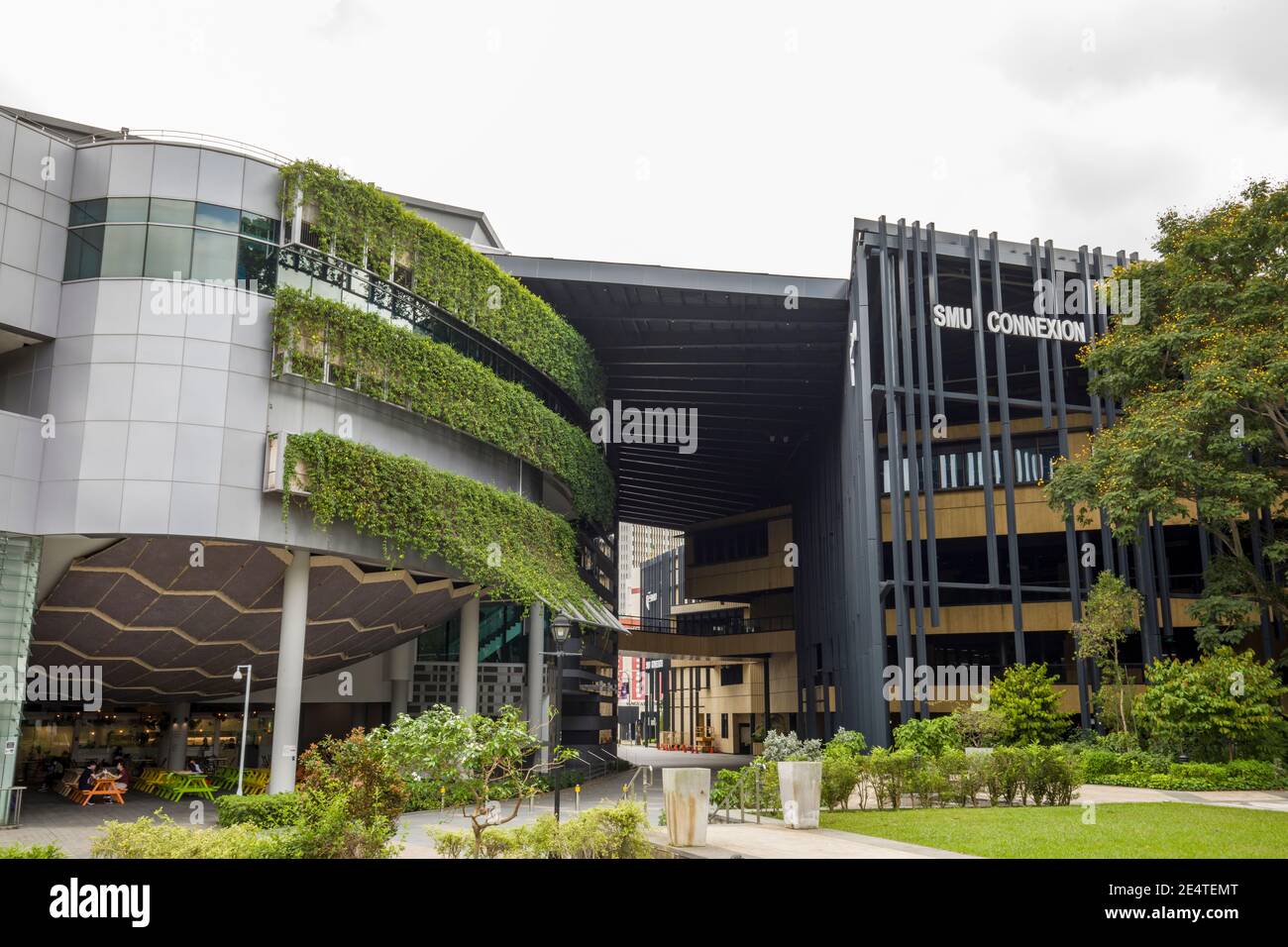 National University Of Singapore High Resolution Stock Photography 