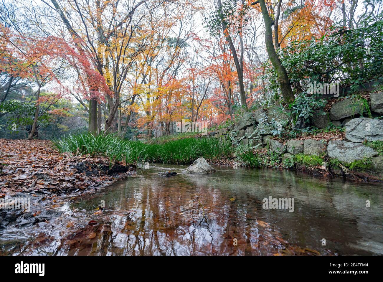Temple shimogamo jinja hi-res stock photography and images - Alamy