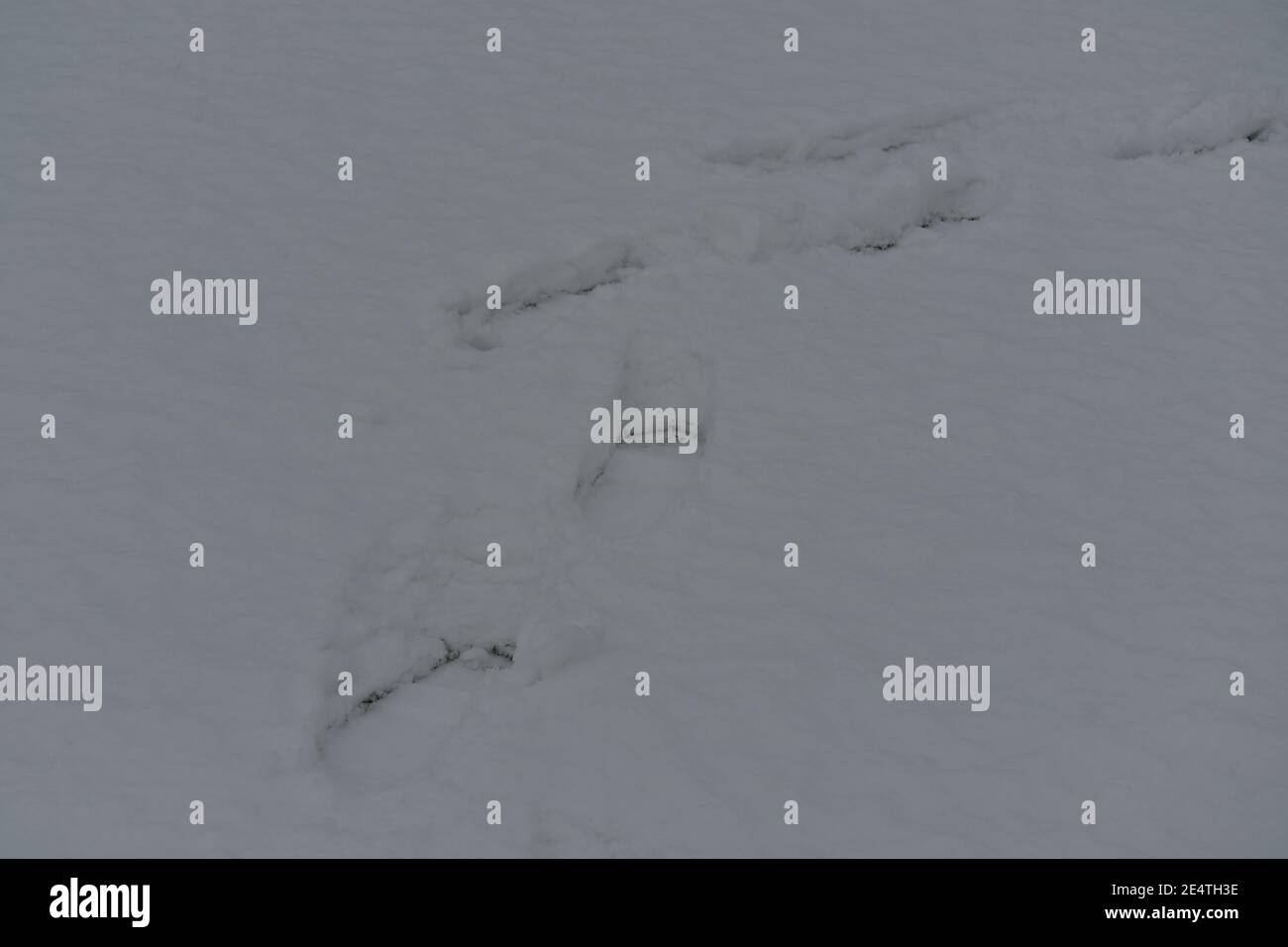 First snowfall in Watford during Winter 2021. 7cm of snow fell in the space of 3 hours. It gave