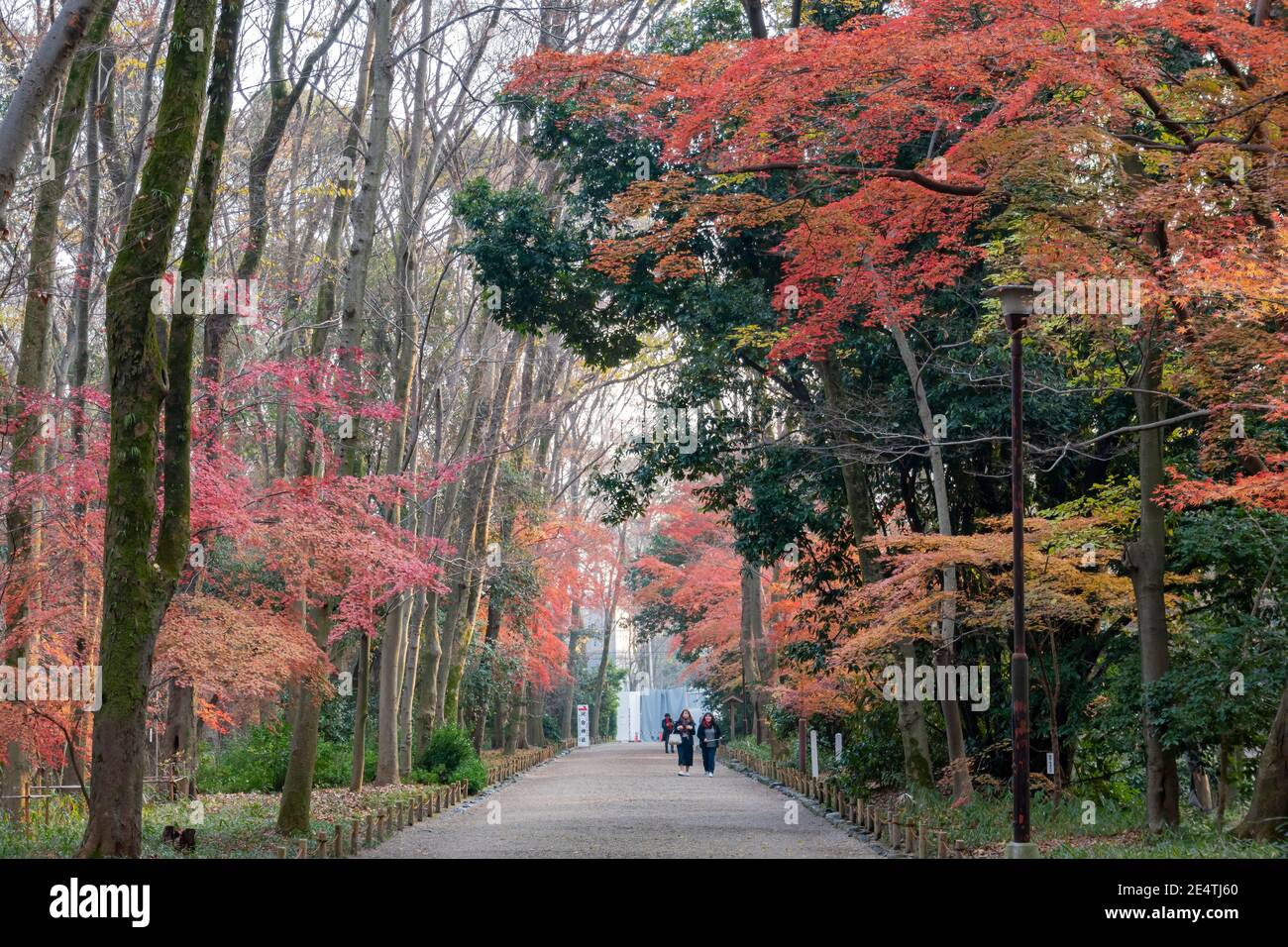 Temple shimogamo jinja hi-res stock photography and images - Alamy