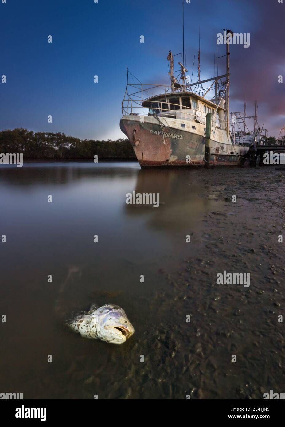 Old Trawler in the sunrise Stock Photo - Alamy
