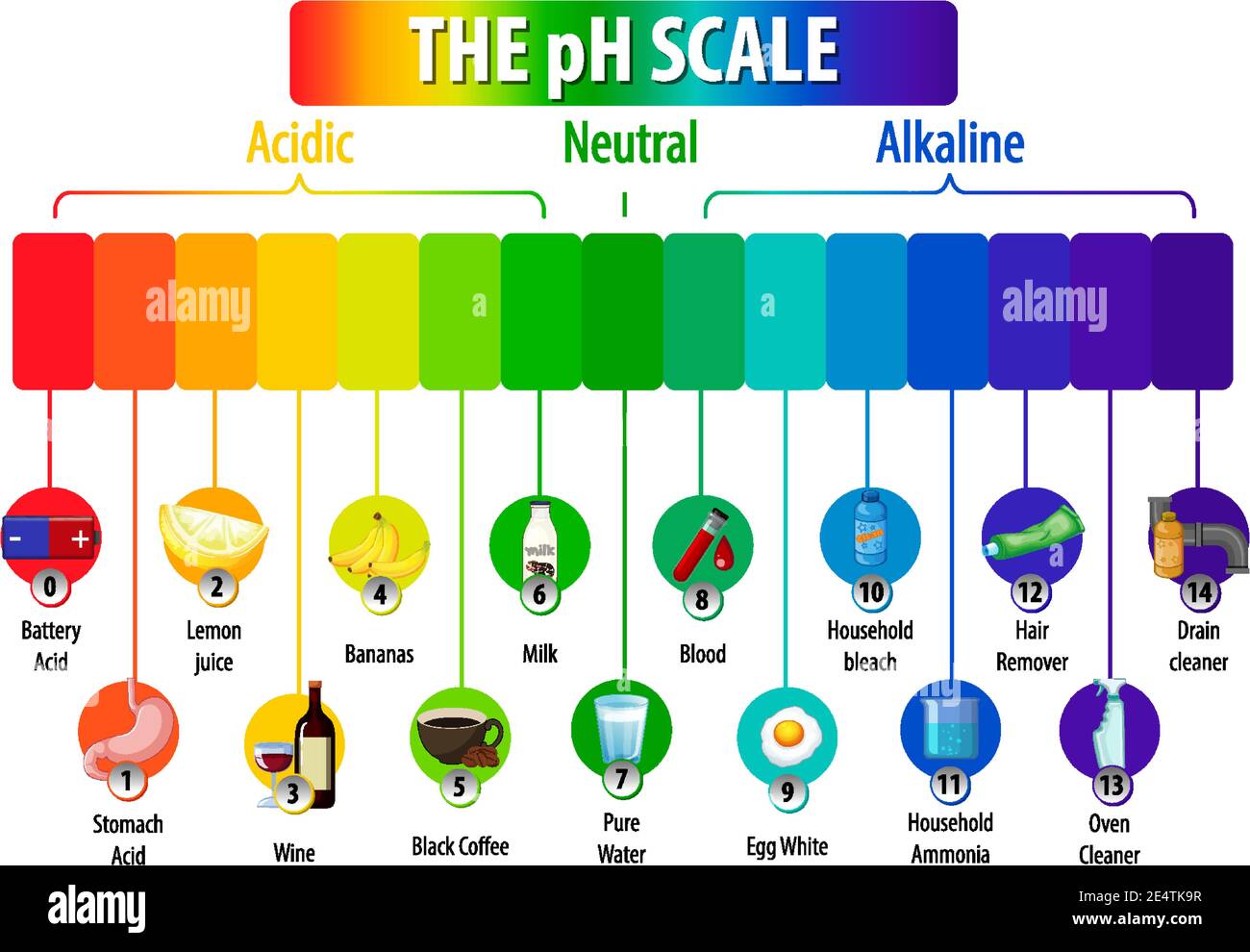 The pH Scale diagram on white background illustration Stock Vector ...