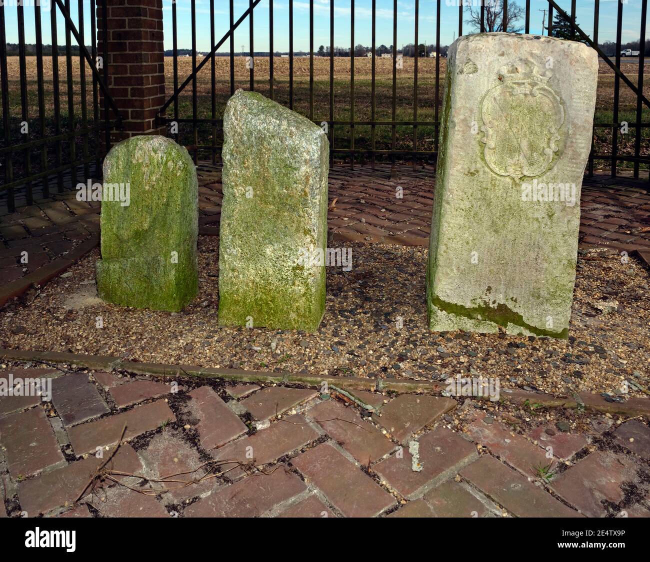 My Image 18
