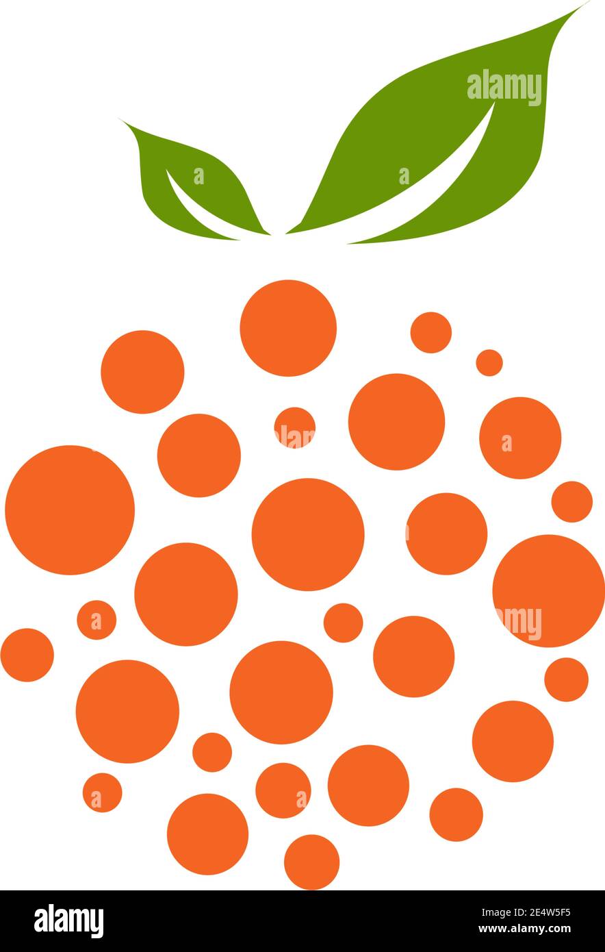 Orange fruit icon logo design vector template Stock Vector