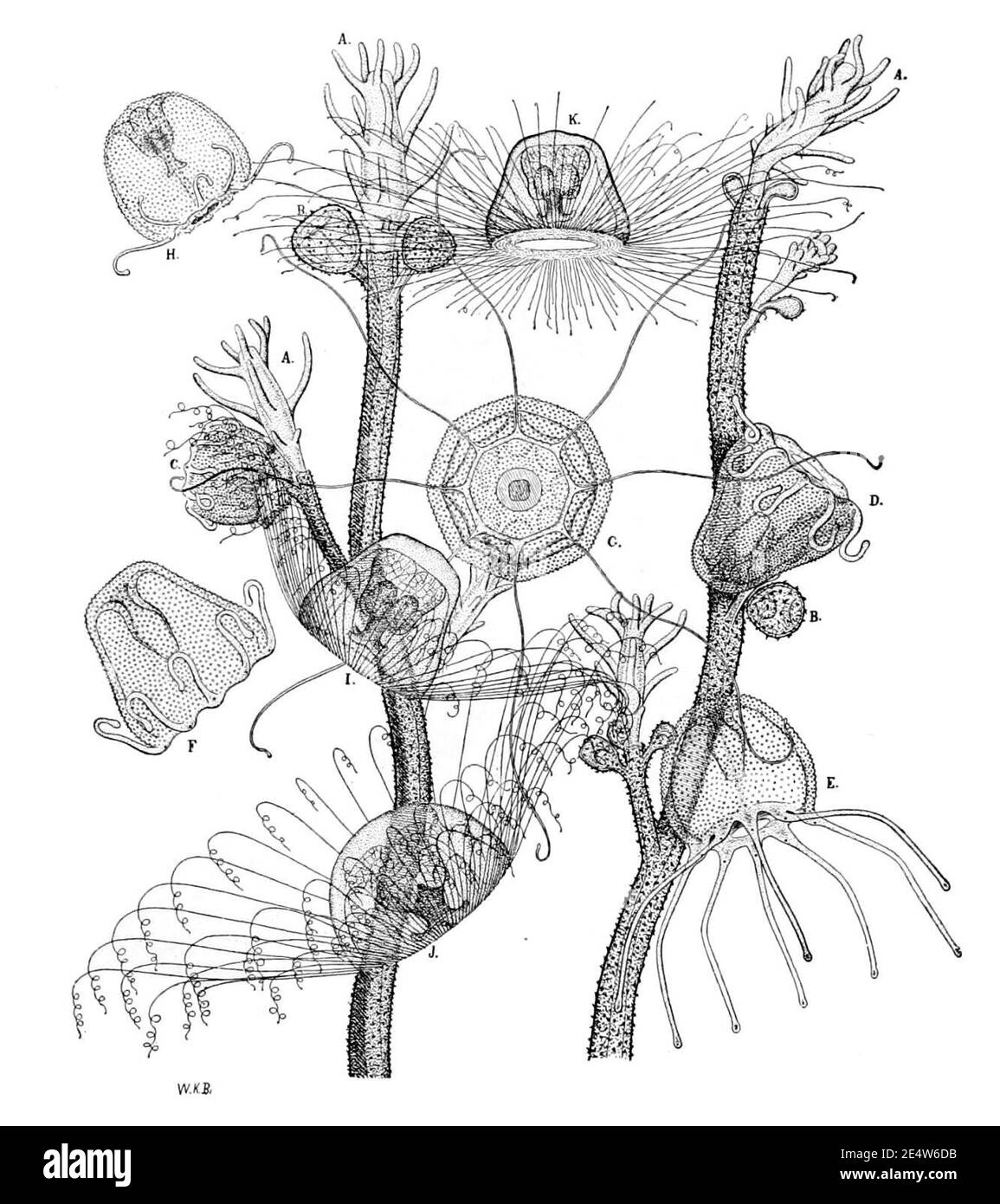 Containing drawings hi-res stock photography and images - Alamy