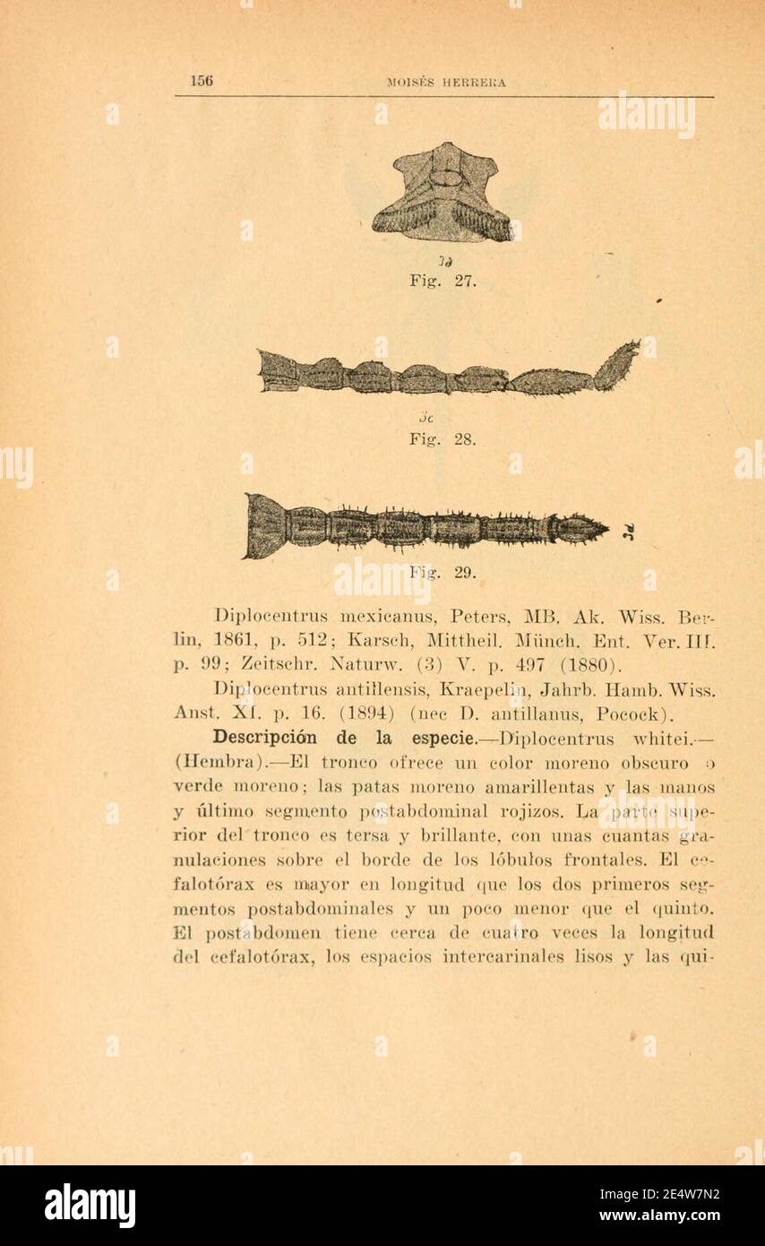Memorias y revista de la Sociedad Científica ''Antonio Alzate.'' (Page 156) Stock Photo