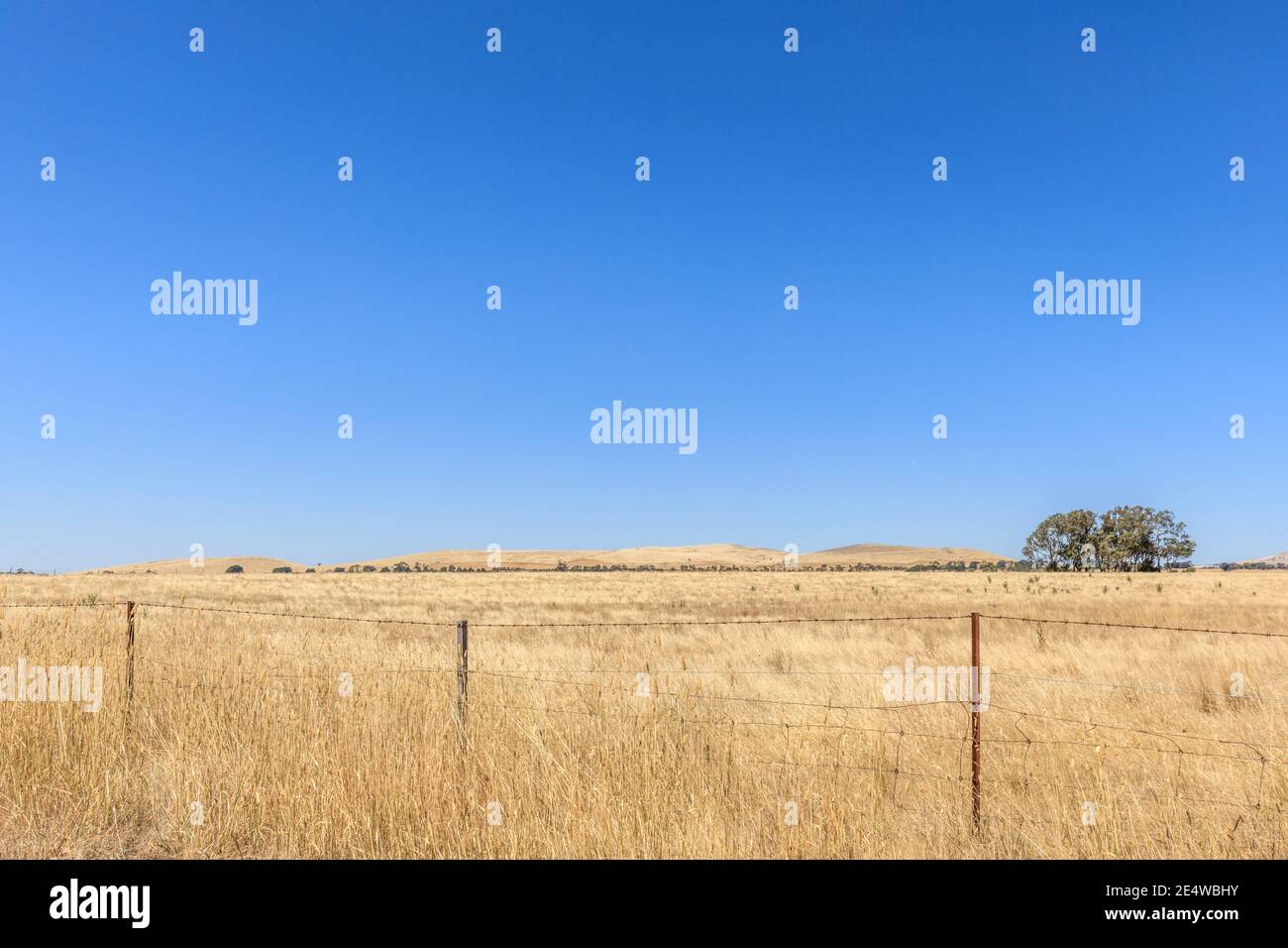 Farmland near Clunes, Victoria, Australia Stock Photo Alamy