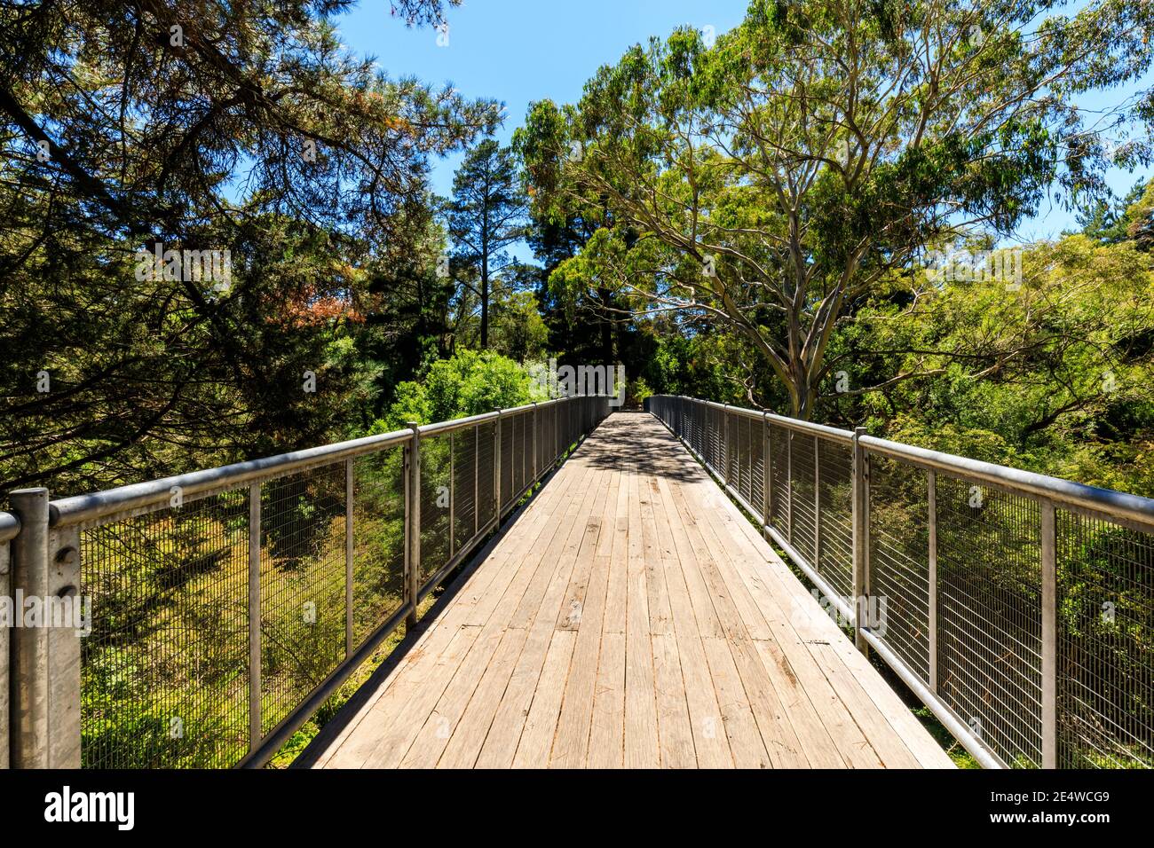 Hepburn Mineral Springs Reserve and walking trails, Hepburn Springs, Victoria, Australia Stock Photo