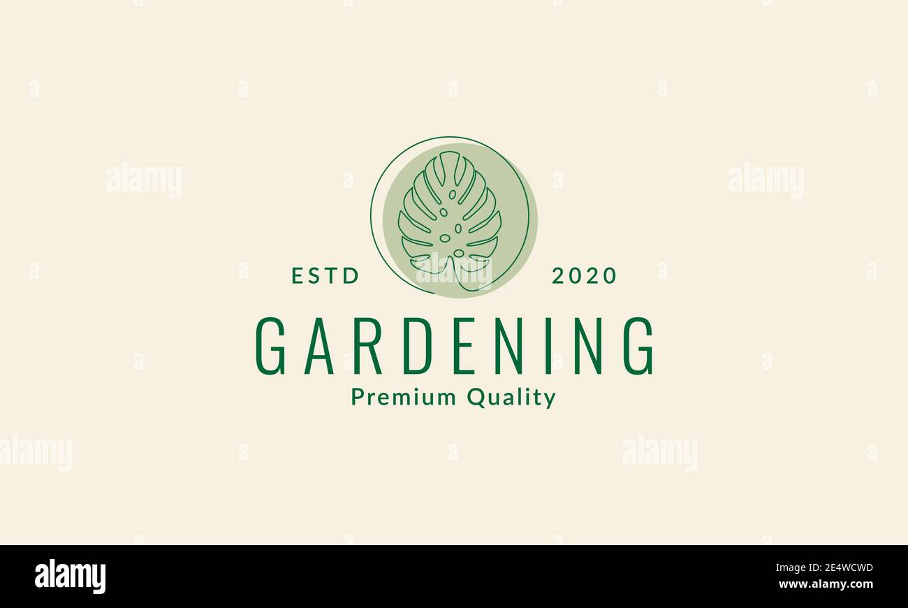 monstera leaf line vintage logo symbol icon vector graphic design Stock Vector