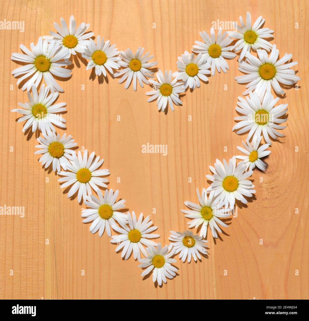 Daisy flower frame in shape of heart Stock Photo - Alamy