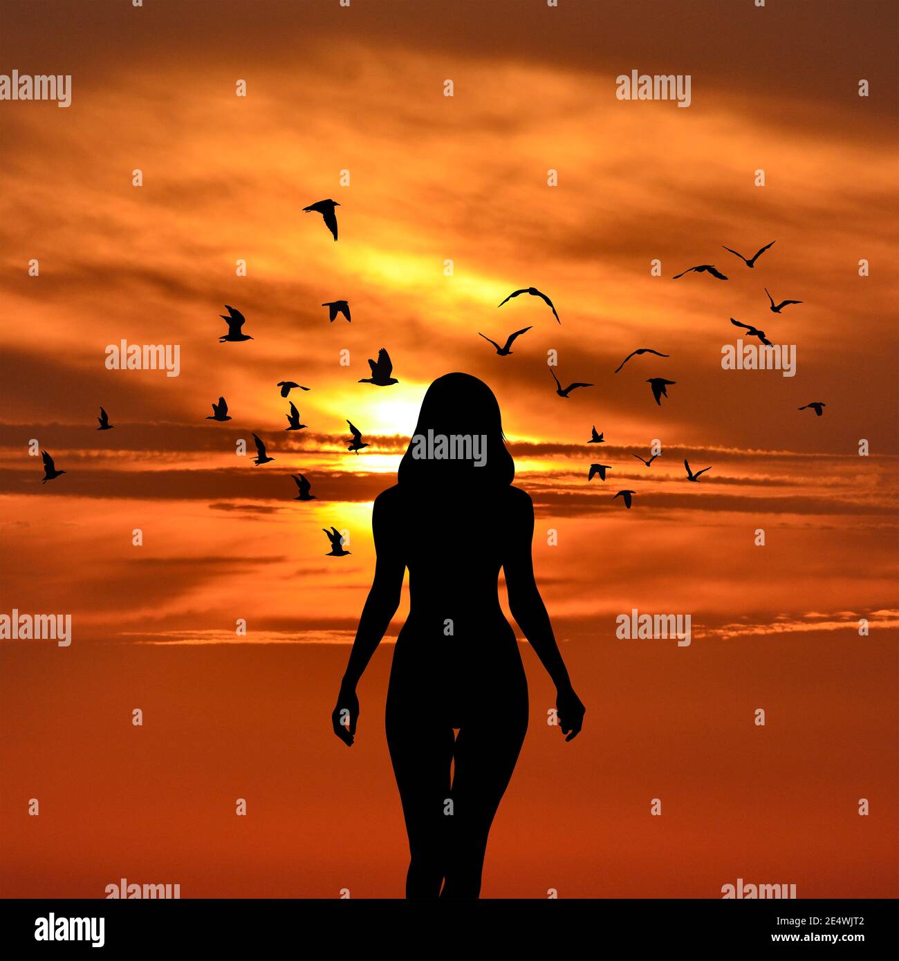 Silhouette of woman with birds flying around her on sunset Stock Photo ...