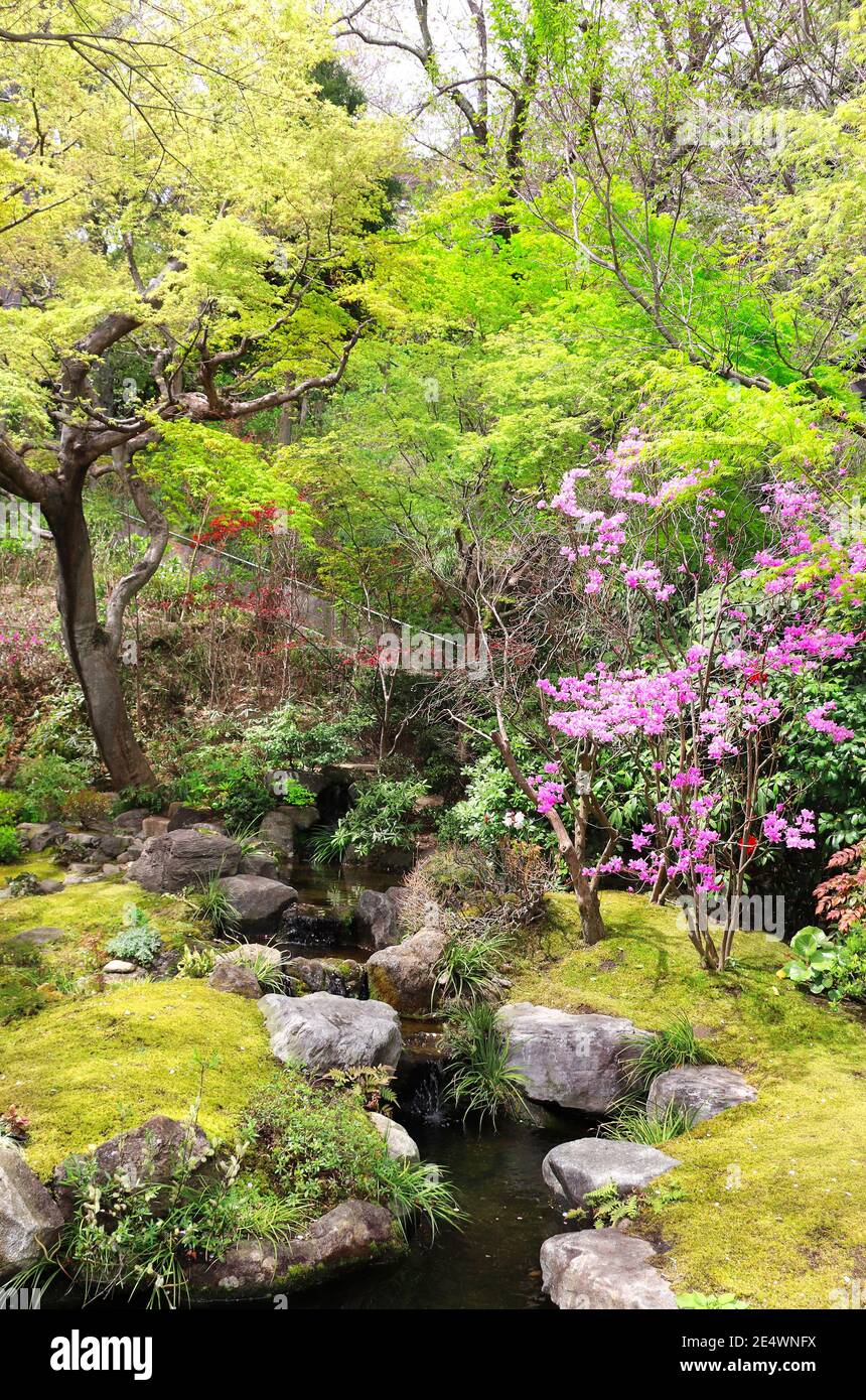 Decorative garden in Hasedera (Hase-dera) temple, Kamakura, Japan Stock Photo