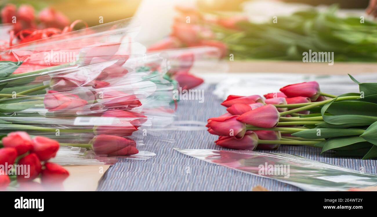 Florists in a greenhouse collect bouquets of tulips for delivery Stock Photo