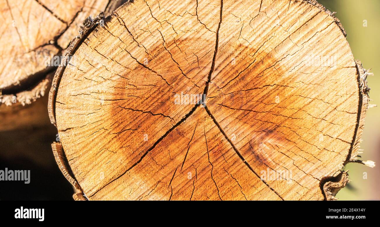 High angle shot board hi-res stock photography and images - Alamy