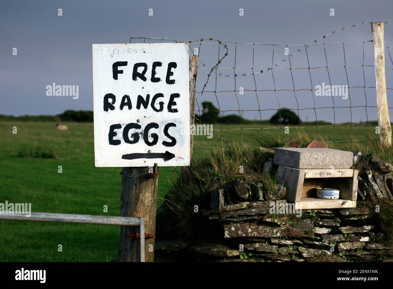 Free Range Eggs for sale at side of rural road in Devon. England. Free range eggs cannot be sold in UK from 21st March 2022 due to bird flu. Stock Photo