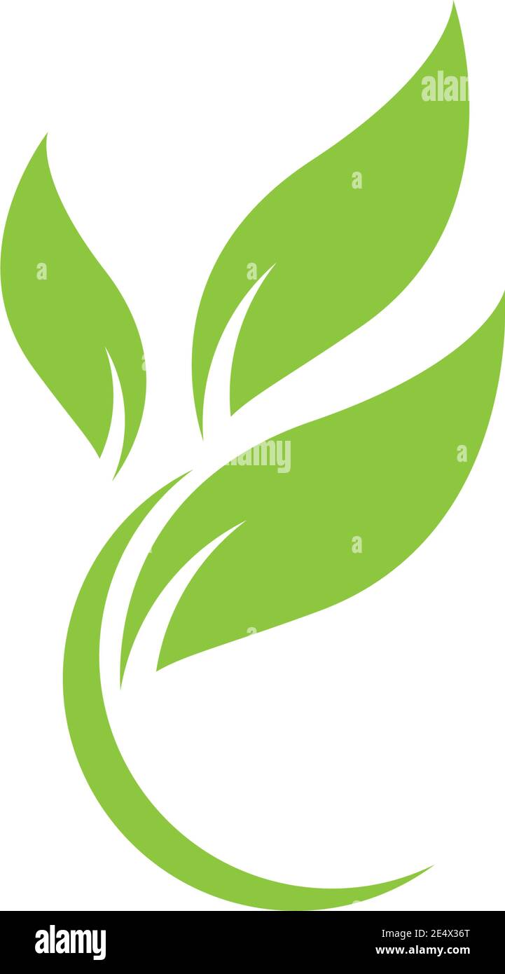 Logos of green leaf ecology nature element vector icon Stock Vector ...