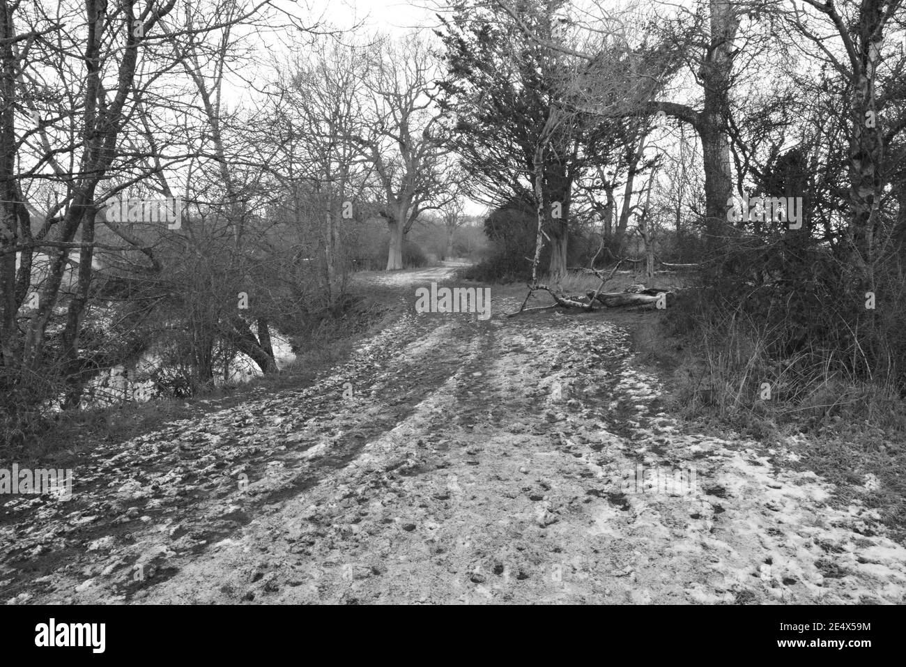 Frozen ground in the countryside of Horley, Surrey on January 25, 2021