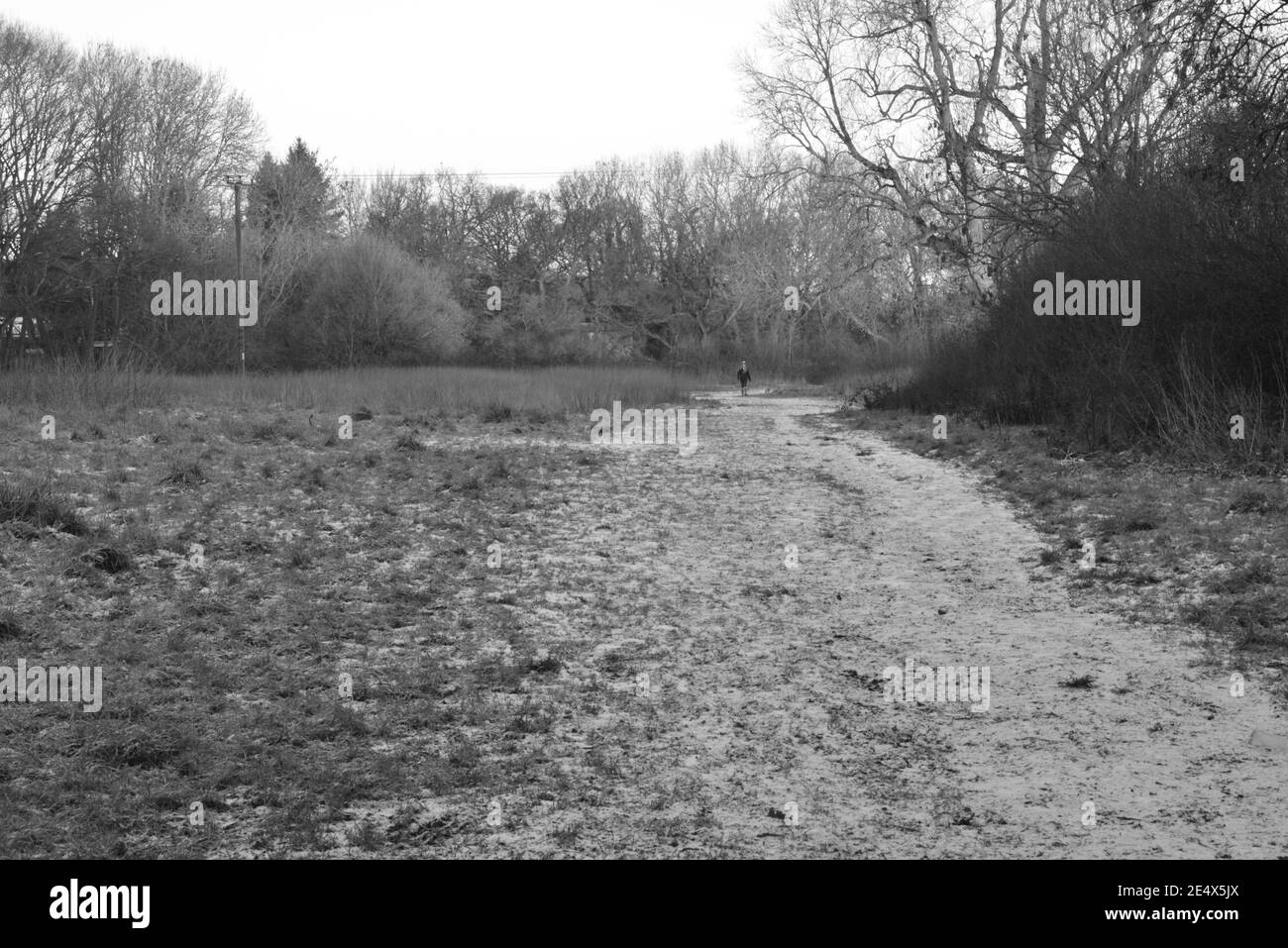 Frozen ground in the countryside of Horley, Surrey on January 25, 2021
