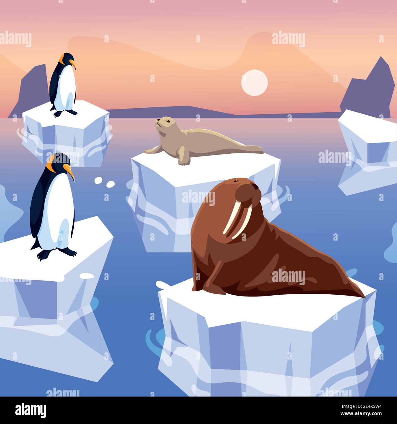walrus seal and penguins standing on iceberg north pole vector ...
