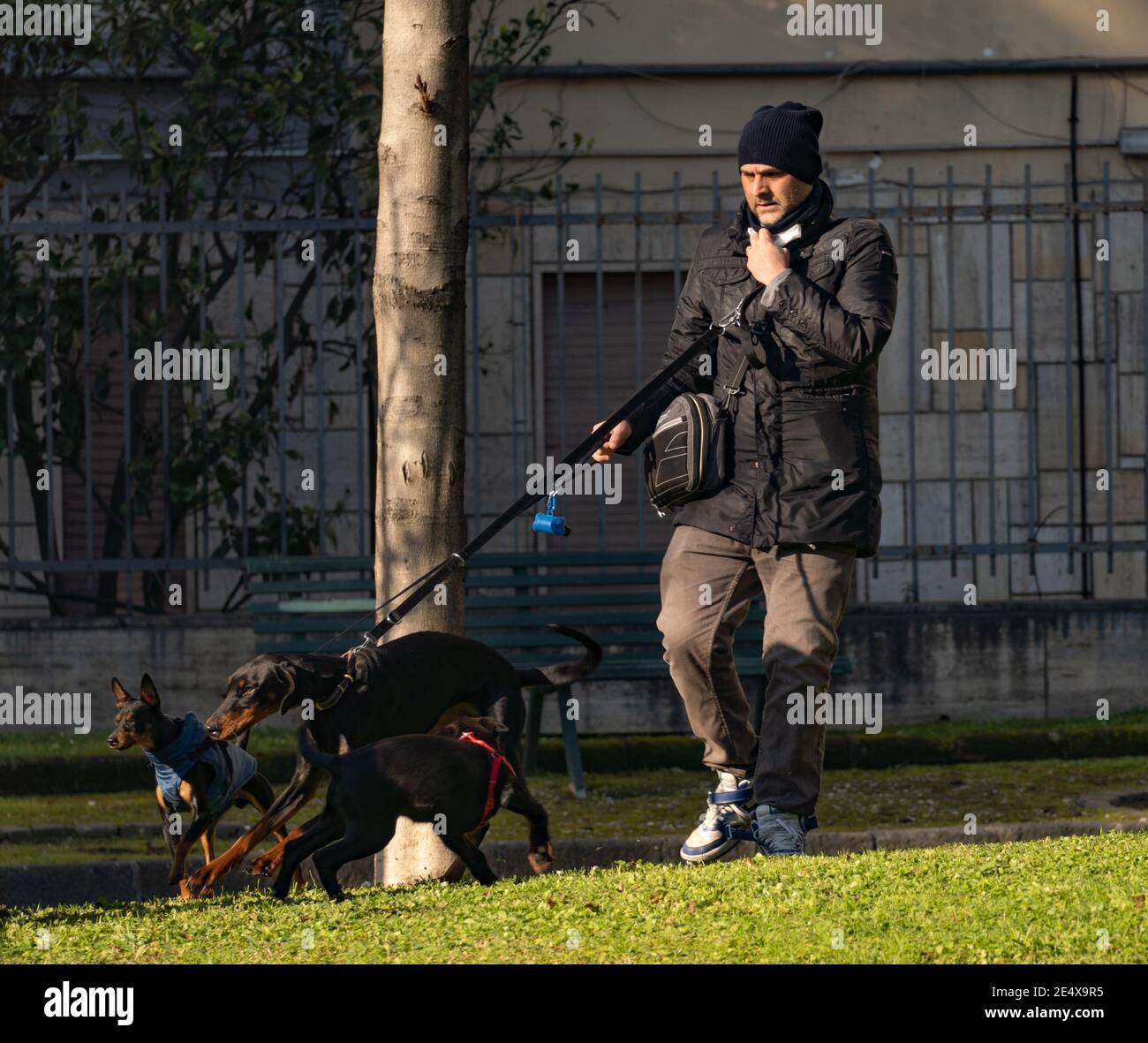 SANTA MARIA CAPUA VETERE, ITALY - Jan 19, 2021: Caserta, Italy, January 19th 2021, Walking with the dogs in the park Stock Photo